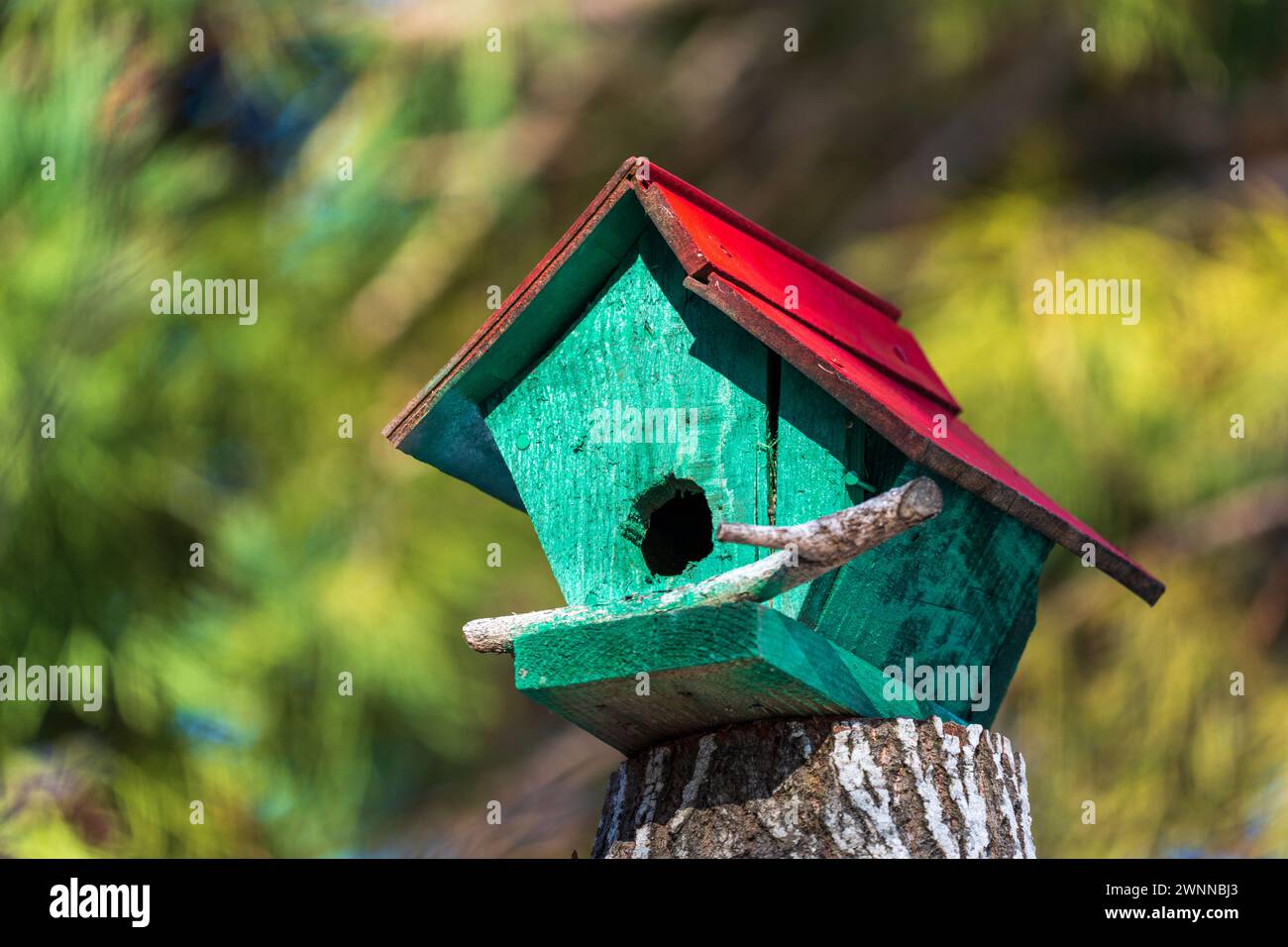 Hölzerne gemalte Mini Birdie Haus. Haus mit rotem Dach und grünen Planken. Unscharfer Hintergrund. Stockfoto