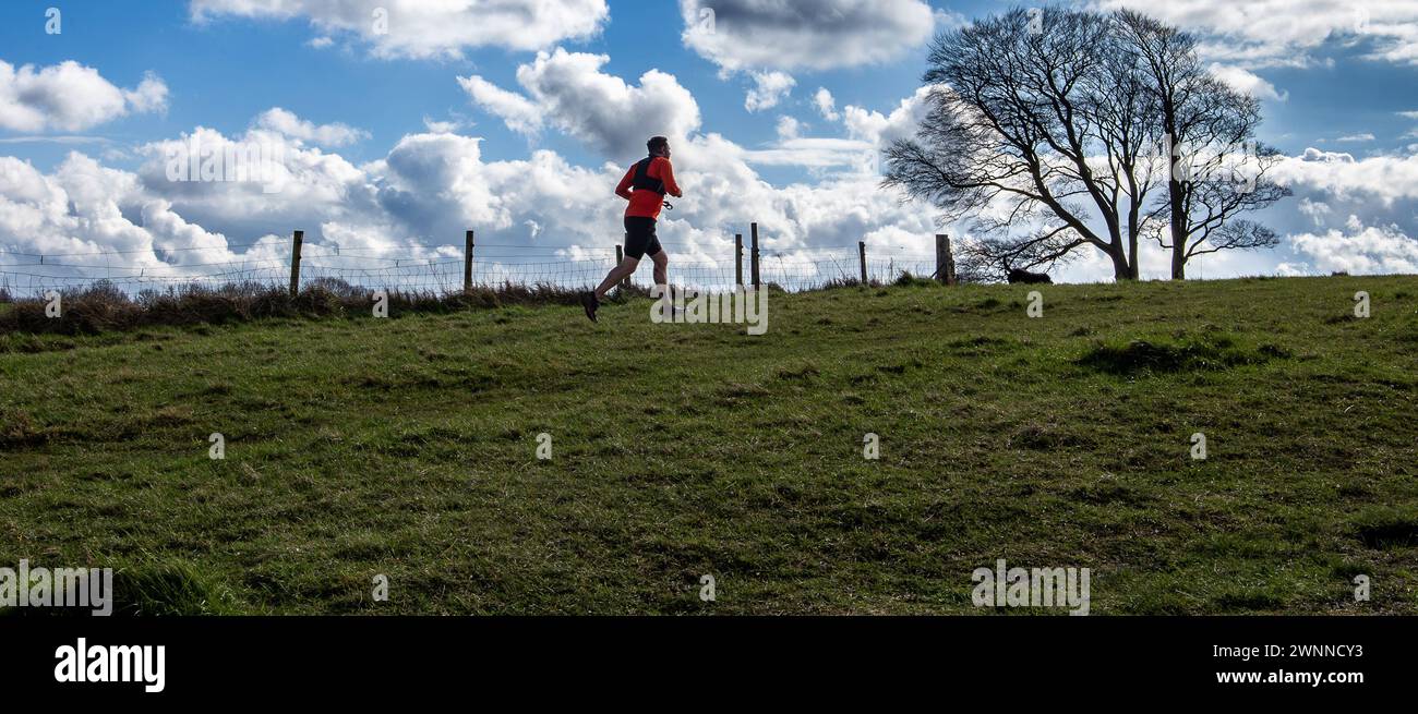 Ein Läufer mit Silhouette in einem roten Hemd, der auf einem Weidefeld vor einem blauen Himmel mit Wolken und blattlosen Bäumen joggt Stockfoto