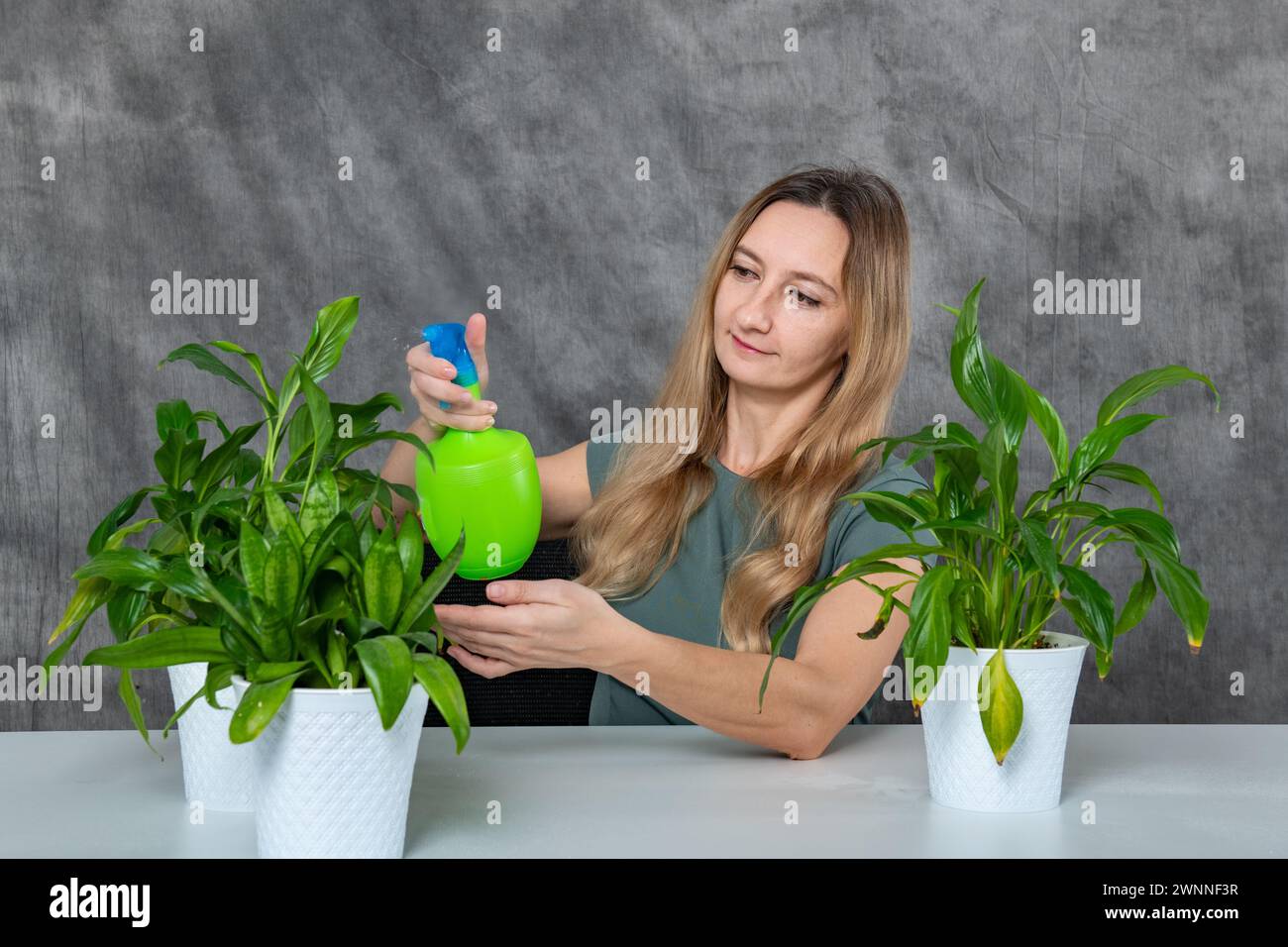 Mädchen mit blonden Haaren, das sich um grüne Pflanzen kümmert, mit Sprenger an einem Tisch Stockfoto