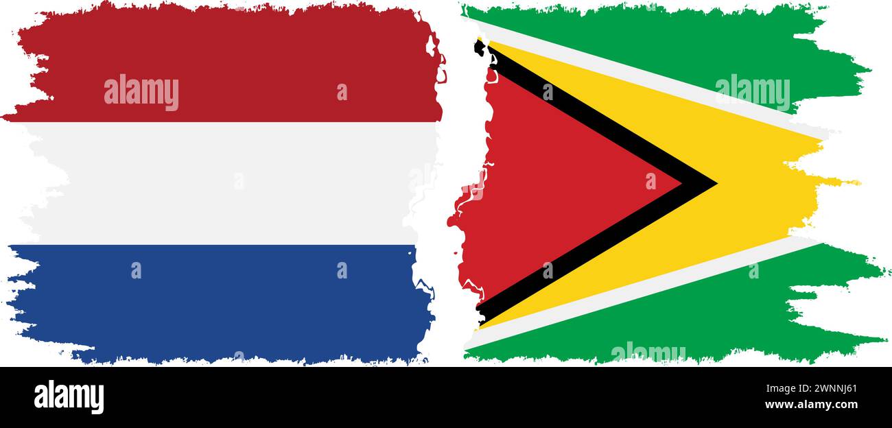Guyana und Niederlande Grunge Flags Verbindung, Vektor Stock Vektor