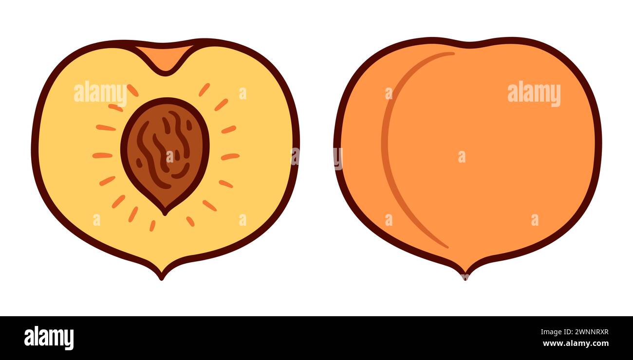 Handgezogene Pfirsichkritzel, ganze und geschnittene Früchte. Einfache Zeichentrickzeichnung, Vektor-ClipArt-Illustration. Stock Vektor