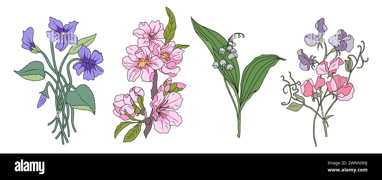 Set wunderschöner romantischer Frühlingsblumen isoliert. Stock Vektor