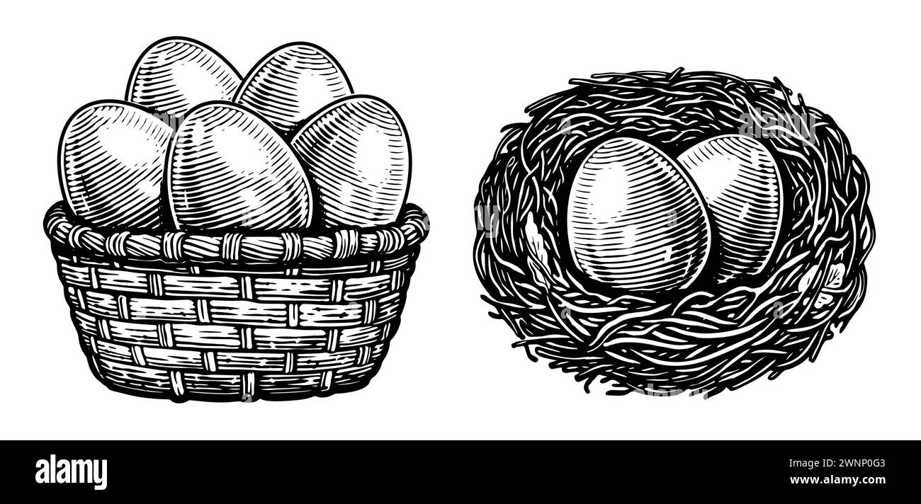 Hühnereier im Korb, Nest. Bio-Lebensmittel vom Bauernhof. Handgezeichnete Skizze Vintage Vektor Illustration Stock Vektor
