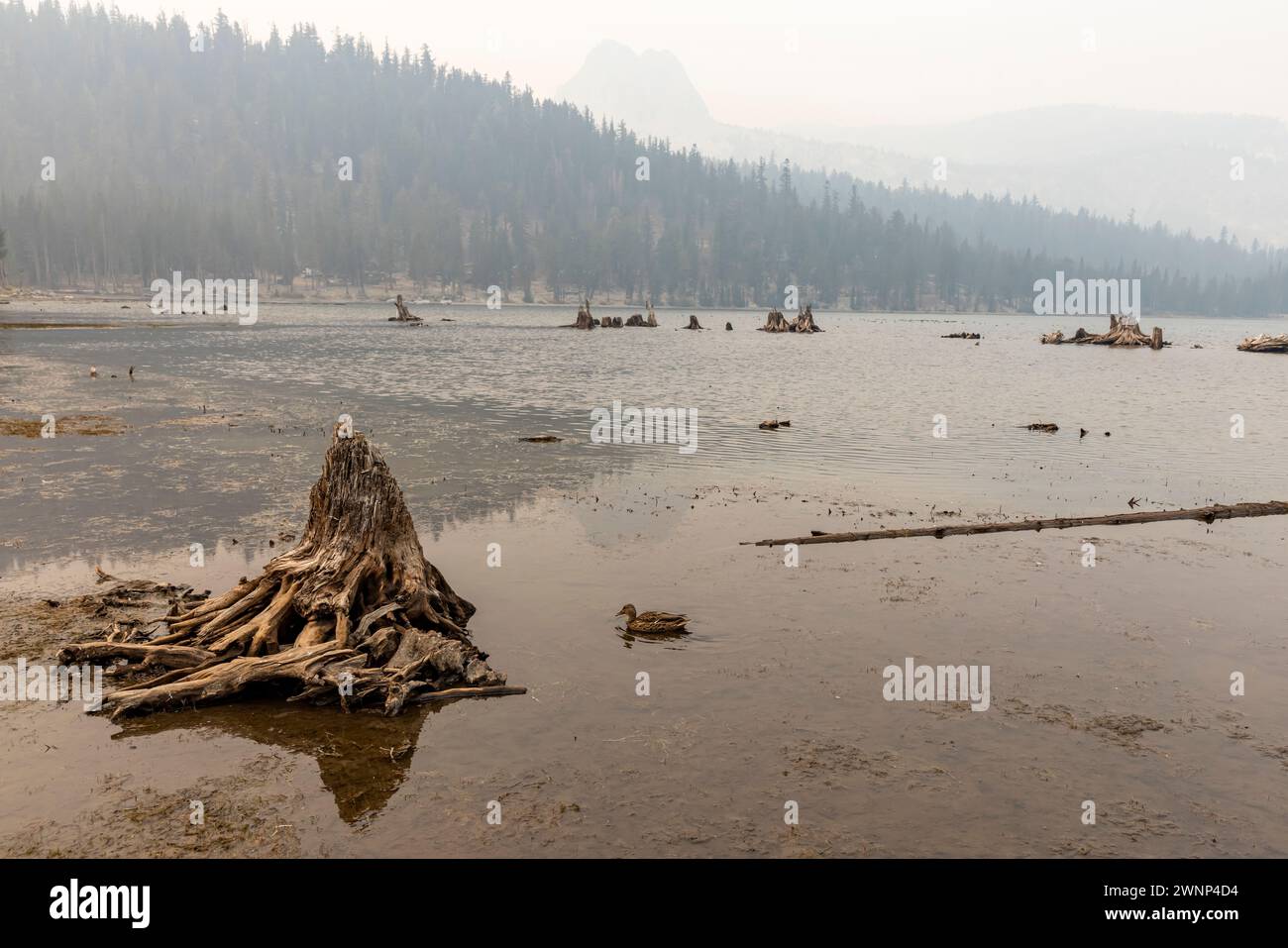 Lake Mary ist das beliebteste Juwel der Seen, aus denen sich das Lakes Basin in Mammoth zusammensetzt. Eine schwere Dürre in KALIFORNIEN und vor allem in den Sierras hat ihren Niederschlag genommen Stockfoto