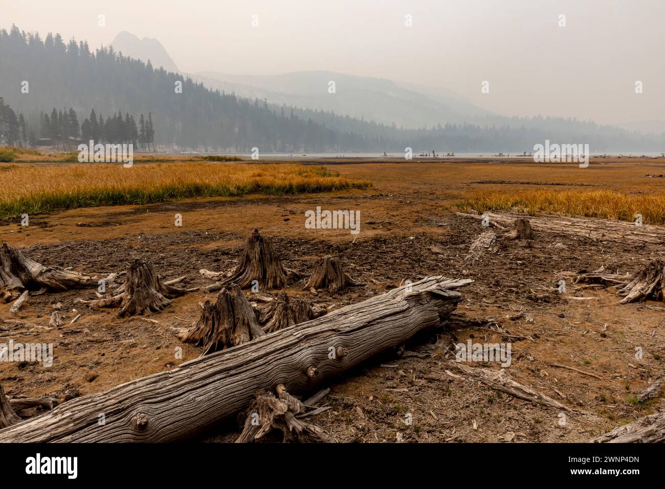 Lake Mary ist das beliebteste Juwel der Seen, aus denen sich das Lakes Basin in Mammoth zusammensetzt. Eine schwere Dürre in KALIFORNIEN und vor allem in den Sierras hat ihren Niederschlag genommen Stockfoto