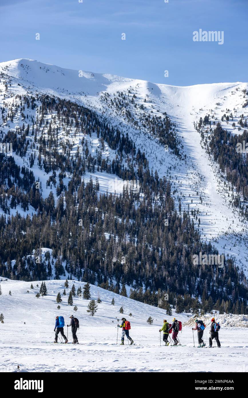 Mammoth Mountain und die Stadt Mammoth Lakes sind ein Winterziel für Outdoor-Enthusiasten. Stockfoto