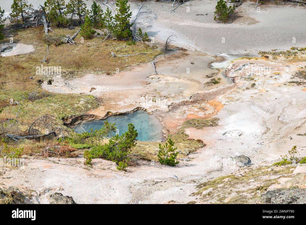 Klares blaues Wasser einer heißen Quelle neben Schlammtöpfen in der Artists' Paintpots Gegend des Yellowstone National Park in Wyoming Stockfoto