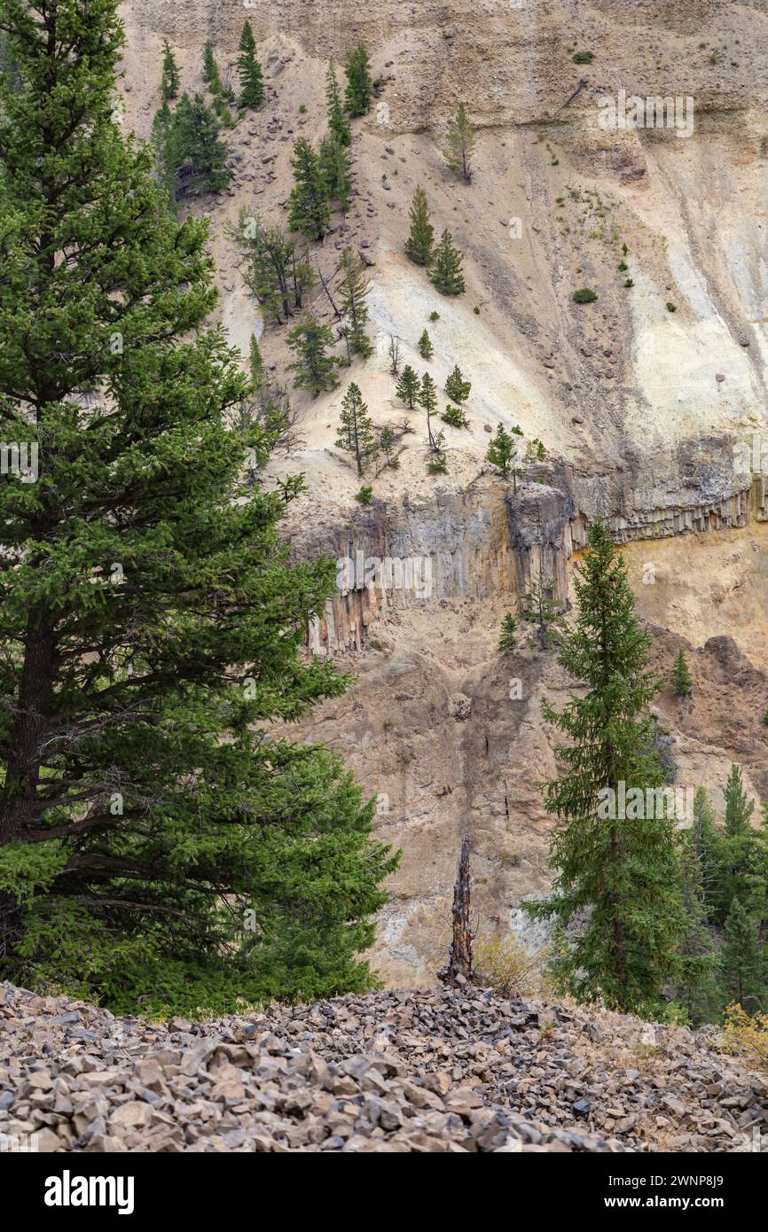 Säulenförmige Verbindung von vulkanischem Basaltgestein entlang der Grand Loop Road im Yellowstone National Park, Wyoming Stockfoto