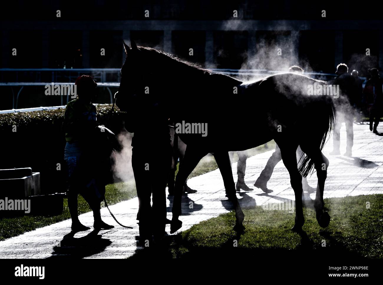 Flash Collonges ist unsattelt, nachdem er am 24. 02.03.24, in der Grimthorpe Handicap Chase, Doncaster Racecourse, hochgezogen wurde. Credit JTW equine Images / Alamy. Stockfoto