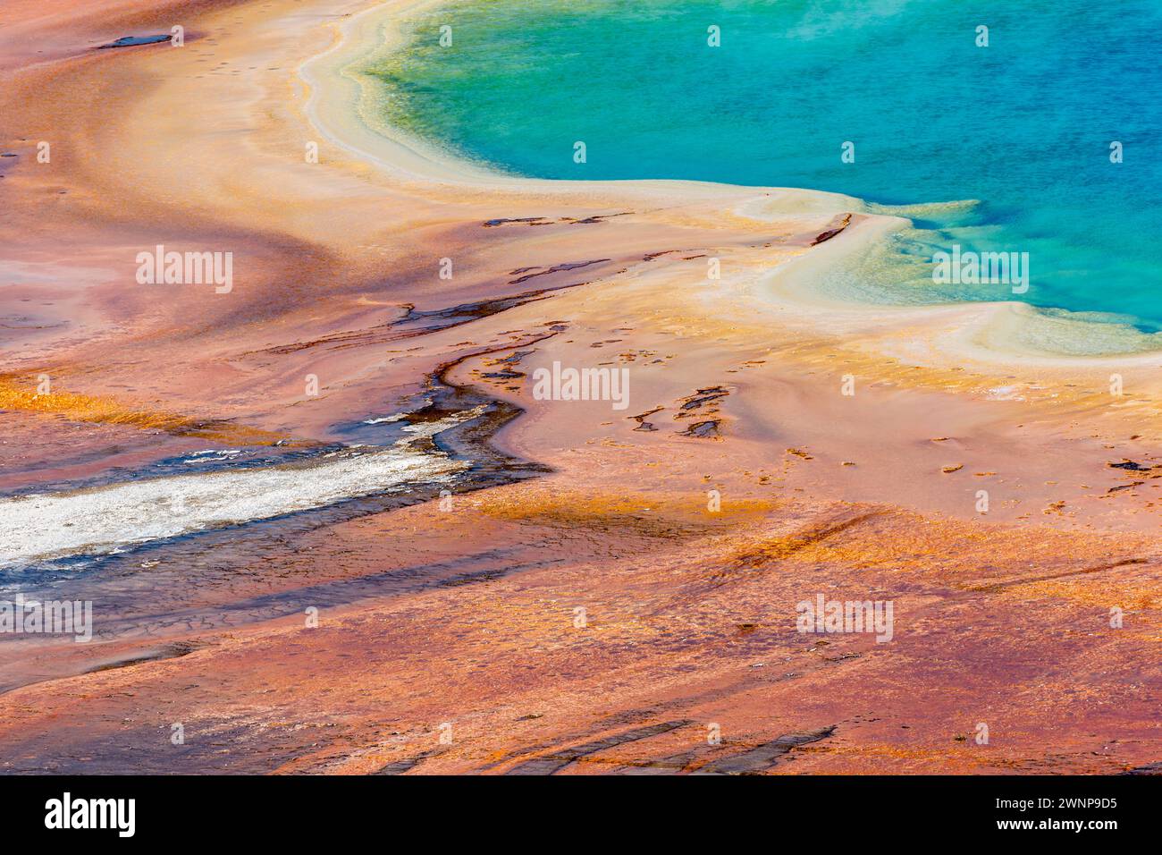 Nahaufnahme des äußeren Umfangs der Grand Prismatic Spring im Midway Geyser Basin des Yellowstone National Park, Wyoming Stockfoto