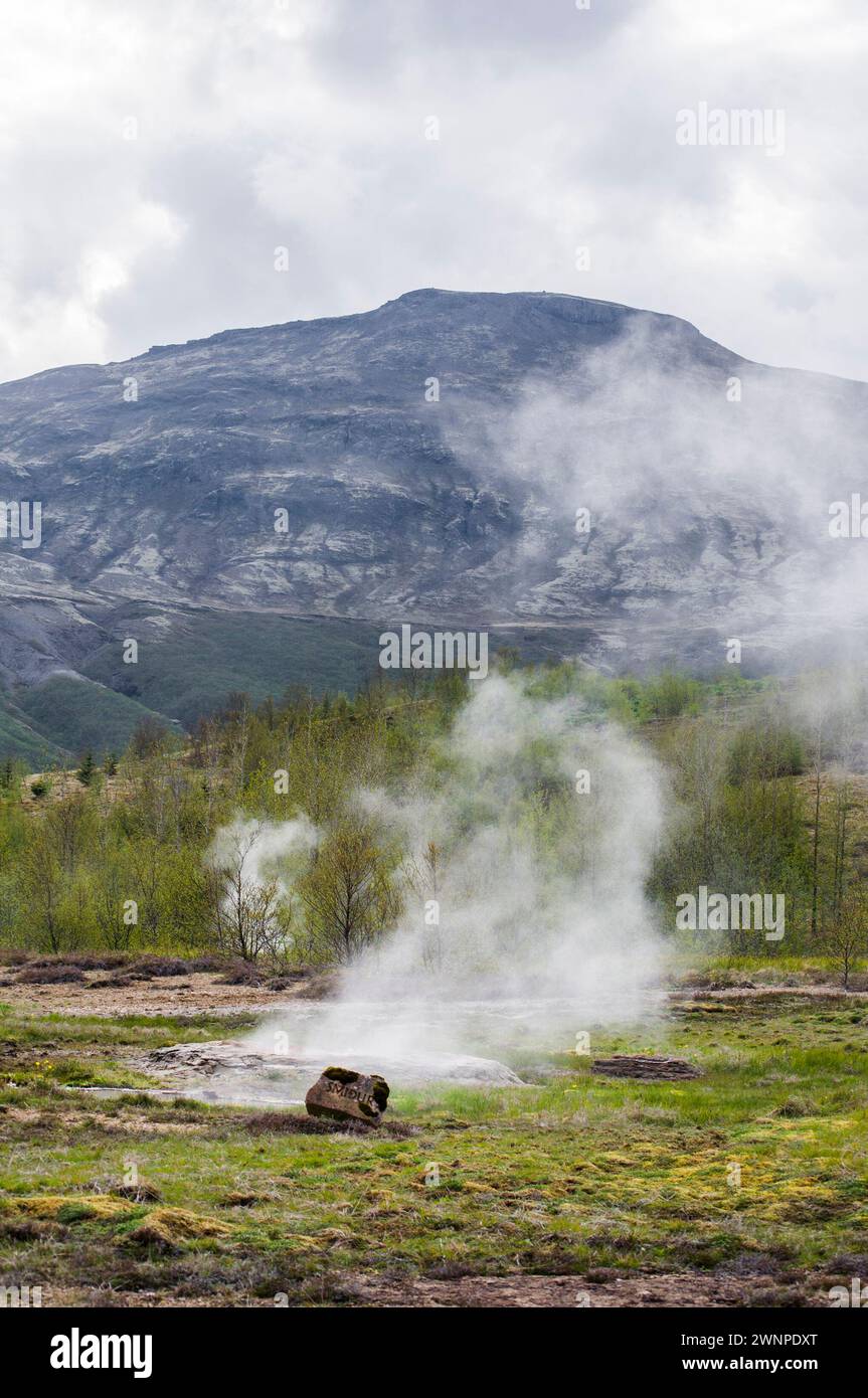 Geysir Geothermiegebiet - Haukadalur-Tal Stockfoto