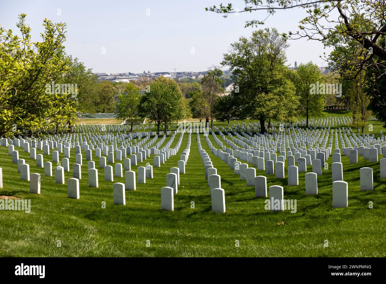 Der Arlington National Cemetery, besonders rund um das Grab des unbekannten Soldaten, ist ein sanfter, grüner Hügel, der von über 9600 Baumarten bedeckt ist. Stockfoto