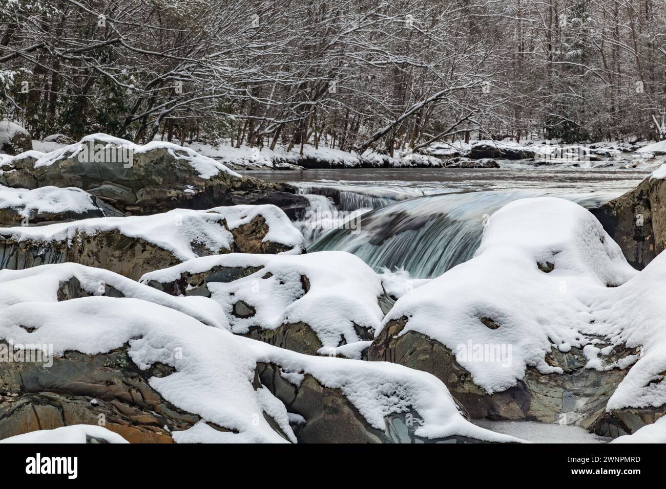 Eis und Schnee am Little Pigeon River im Great Smoky Mountains National Park Stockfoto