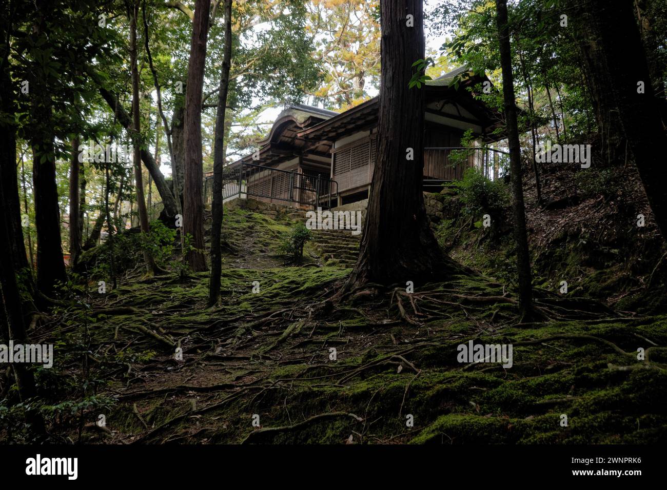Isonokami-Schrein auf dem Yamanobe no Michi Trail, Tenri, Nara, Japan Stockfoto