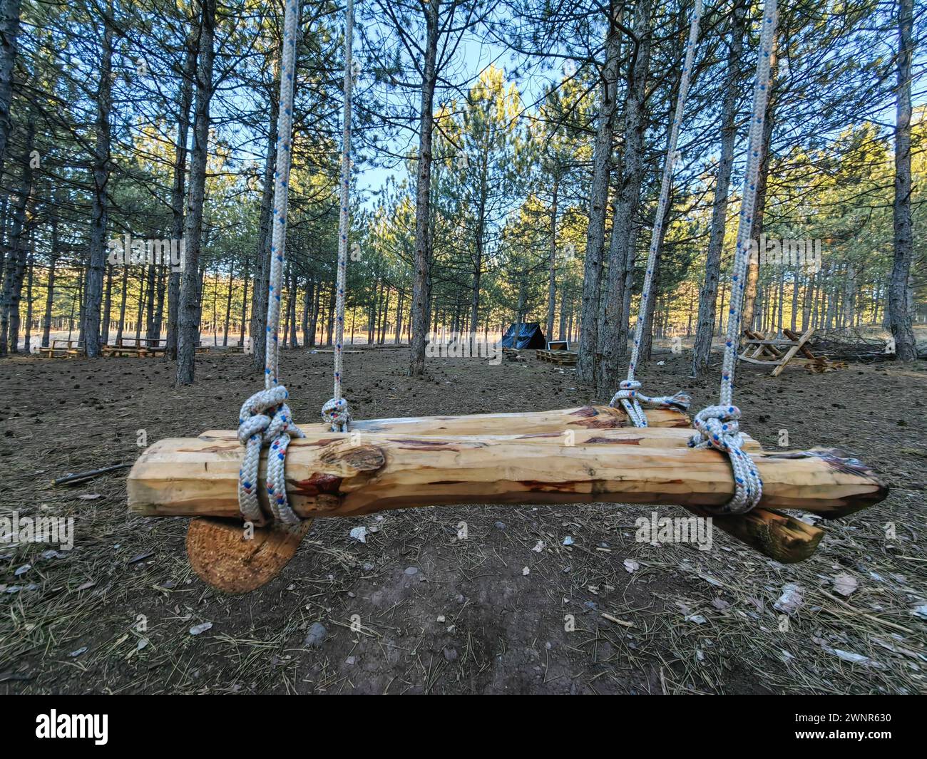 Eine Oase der Wildnis. Hölzerne Schaukel-Rückzugsmöglichkeit. Weitwinkelperspektive. Schwarzes Zelt in der natürlichen Umgebung. Stockfoto