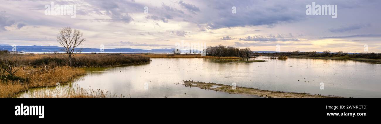 Traumhafte Landschaft im Naturschutzgebiet der Isonzo-Mündung, Isola della Cona, Italien. Friaul Julisch Venetien, Italien. Stockfoto