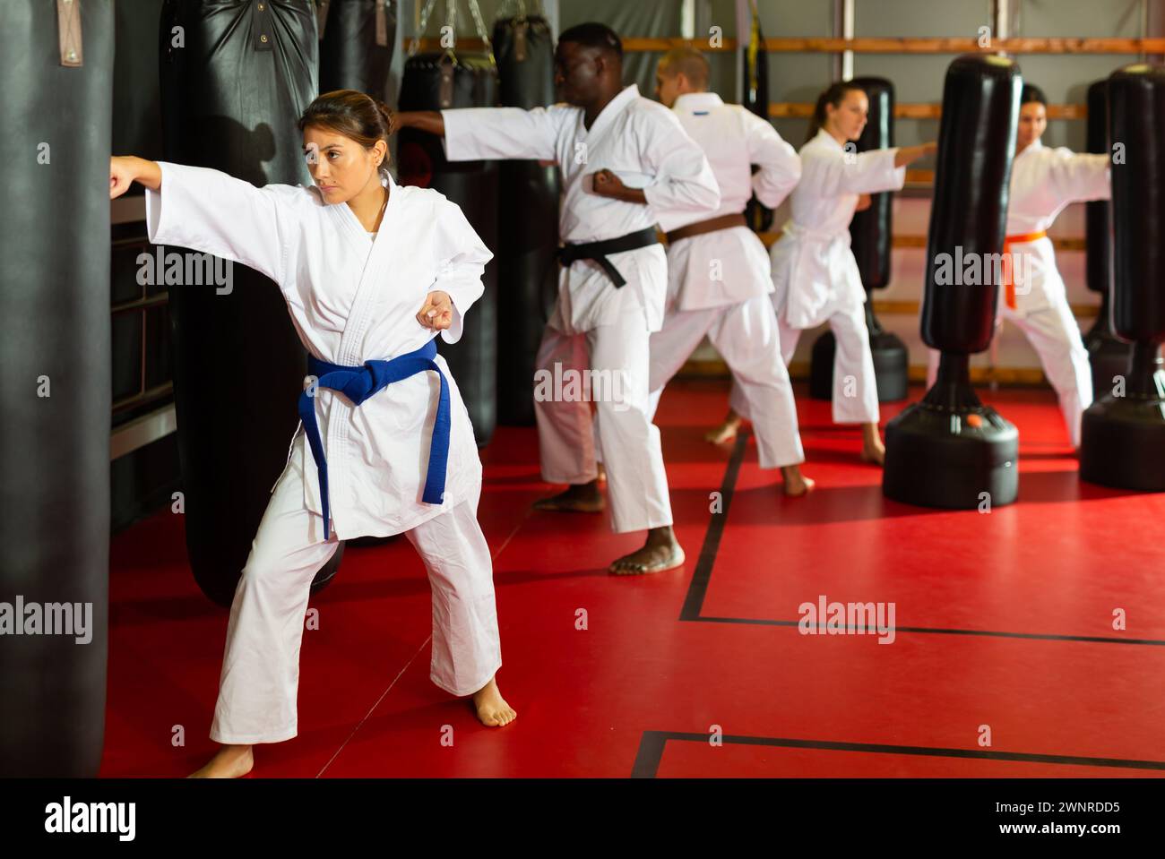 Latino Woman übt verschiedene Kicks im Fitnessstudio Stockfoto