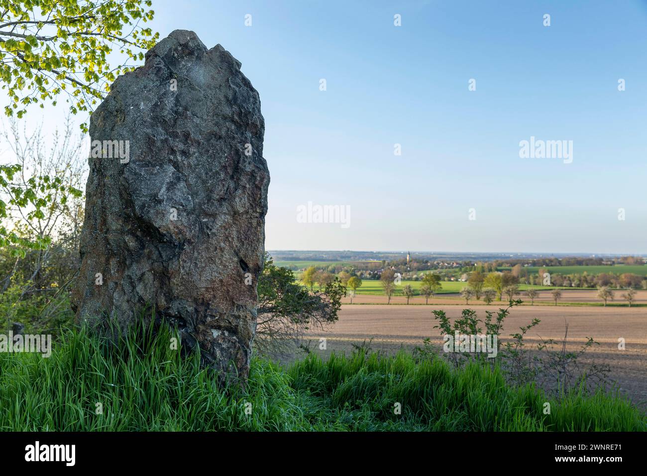 Menhir auf dem Huthübel bei Steudten, im Hintergrund Staucha, Stauchitz, Sachsen, Deutschland *** Menhir auf dem Huthübel bei Steudten, Staucha in der Nähe von Steudten Stockfoto