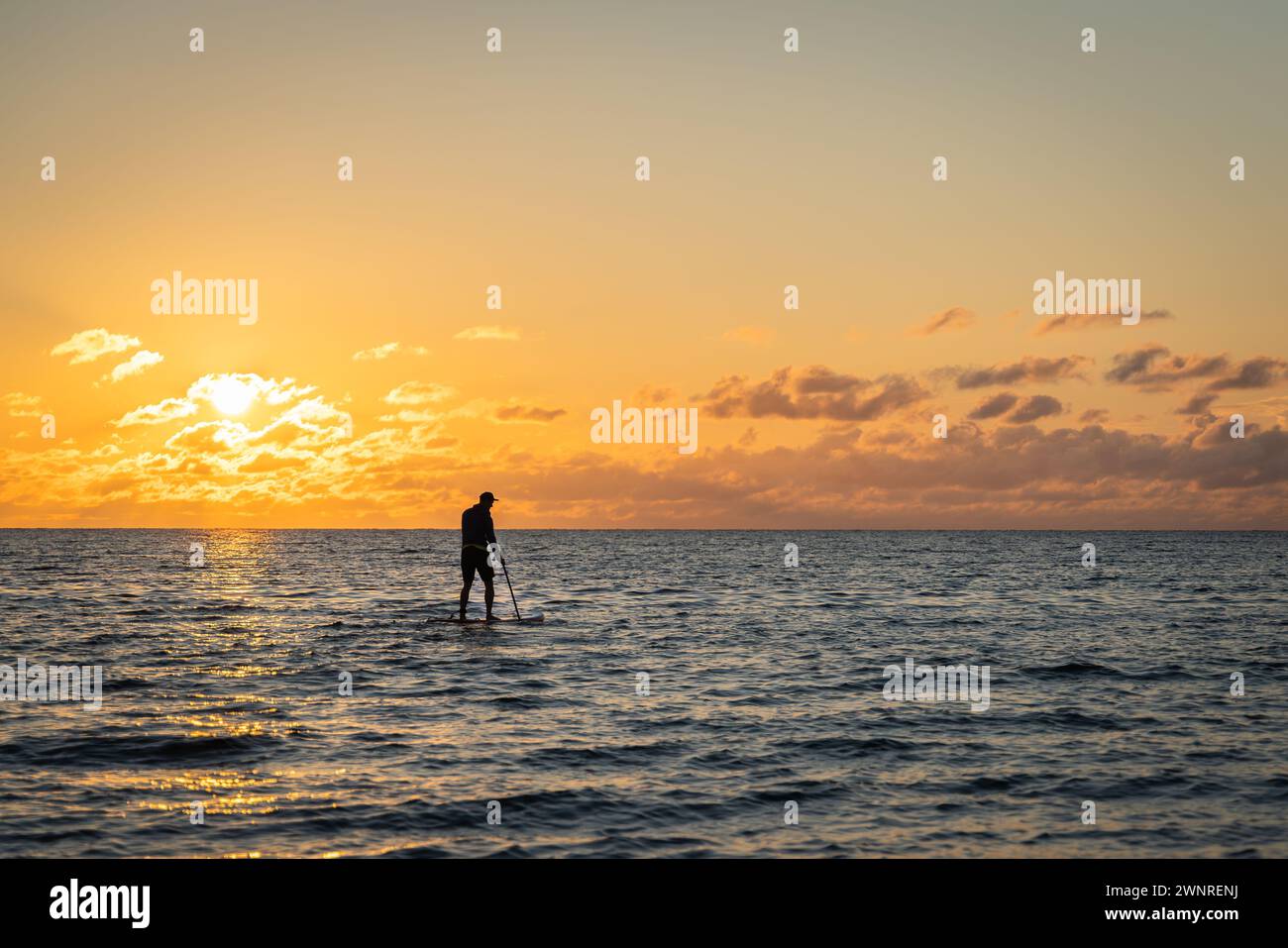 Einsamer Paddle Board Surfer Mann surft auf einem Sup Board auf ruhigem Wasser bei Sonnenuntergang. Schwarze Silhouette bei Sonnenuntergang eines Paddelboarders, der auf SUP steht. Stockfoto