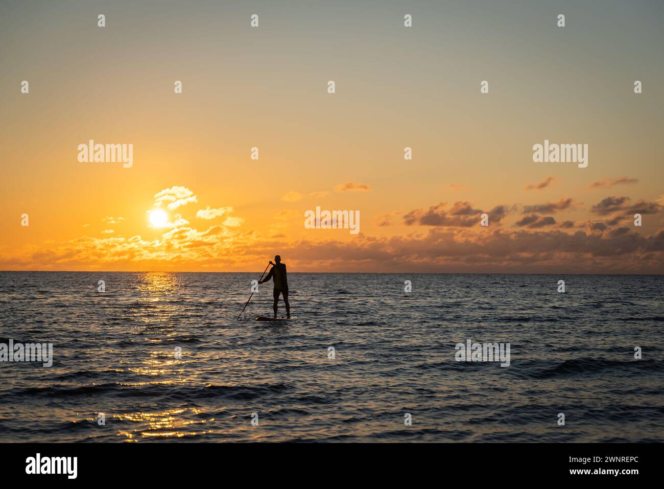 Einsamer Paddle Board Surfer Mann surft auf einem Sup Board auf ruhigem Wasser bei Sonnenuntergang. Schwarze Silhouette bei Sonnenuntergang eines Paddelboarders, der auf SUP steht. Stockfoto