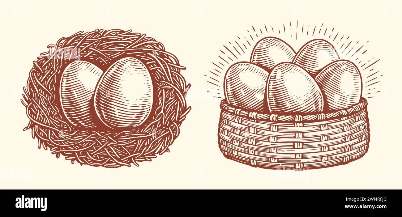 Eier im Korb, Nest. Bio-Lebensmittel vom Bauernhof. Handgezeichnete Vektorgrafik Stock Vektor