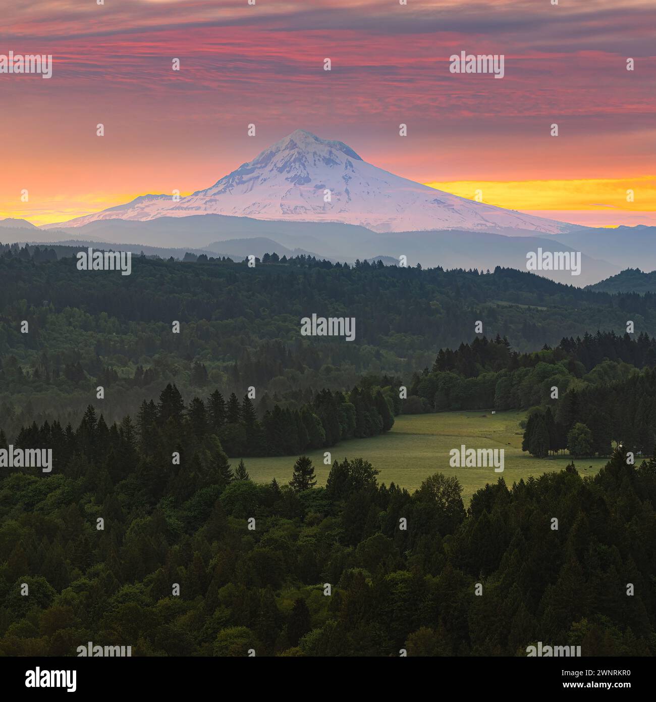 Ein quadratisches 1:1 Foto von einem herrlichen Sonnenaufgang mit Blick in Richtung Mount Hood, einem Stratovulkan im US-amerikanischen Nordwesten von Oregon. Stockfoto