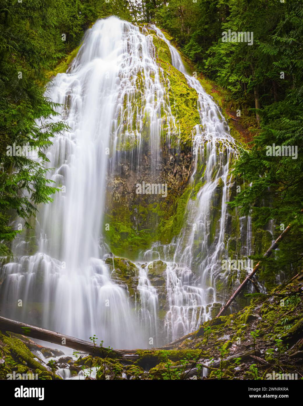 Ein vertikales 4:5-Foto von den Proxy Falls, auch bekannt als Lower Proxy Falls, ein Wasserfall mit Wasserfall, der aus einer Sammlung von Quellen auf der Schulter stammt Stockfoto