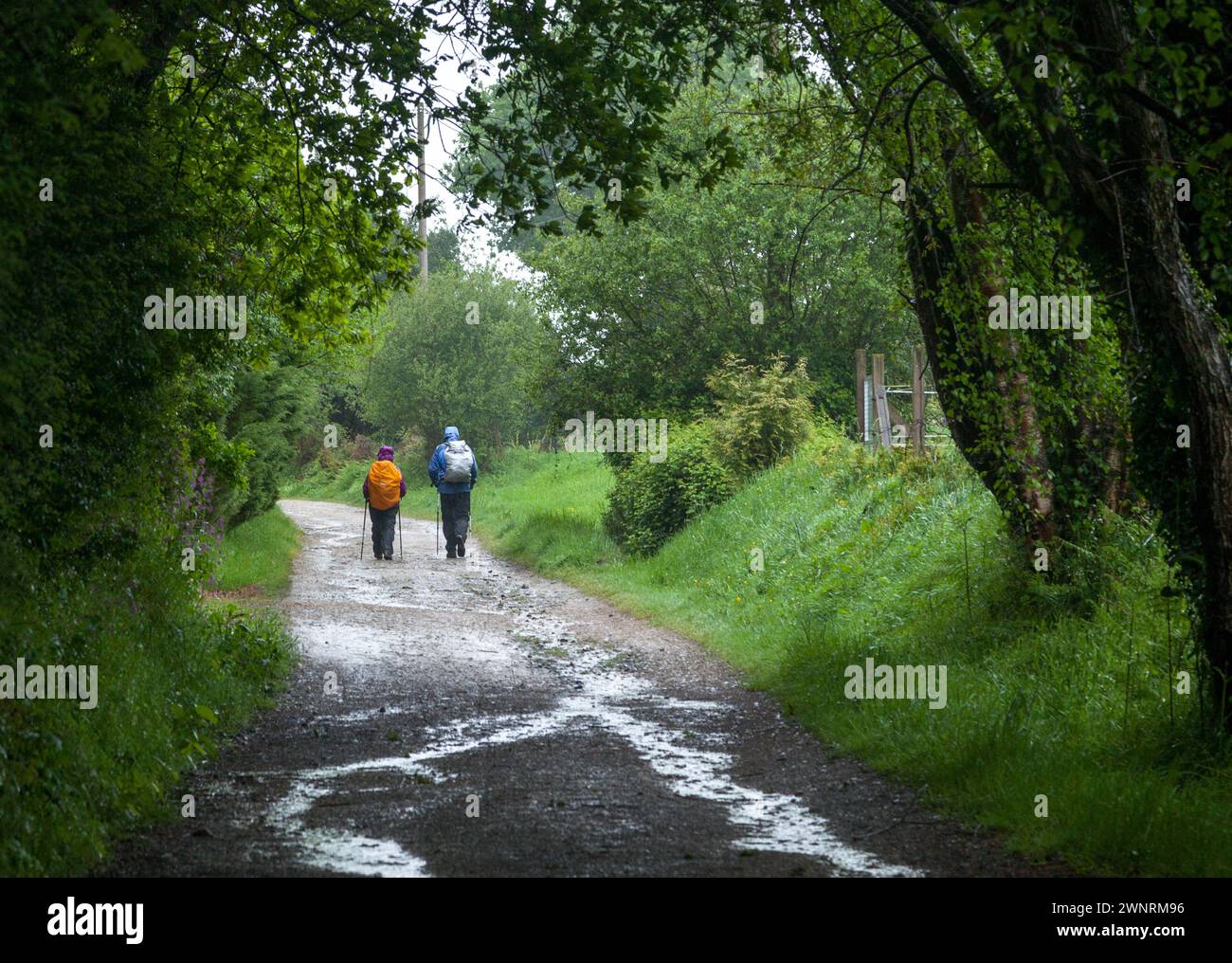 Zwei Rucksacktouristen auf einer unbefestigten Straße Stockfoto