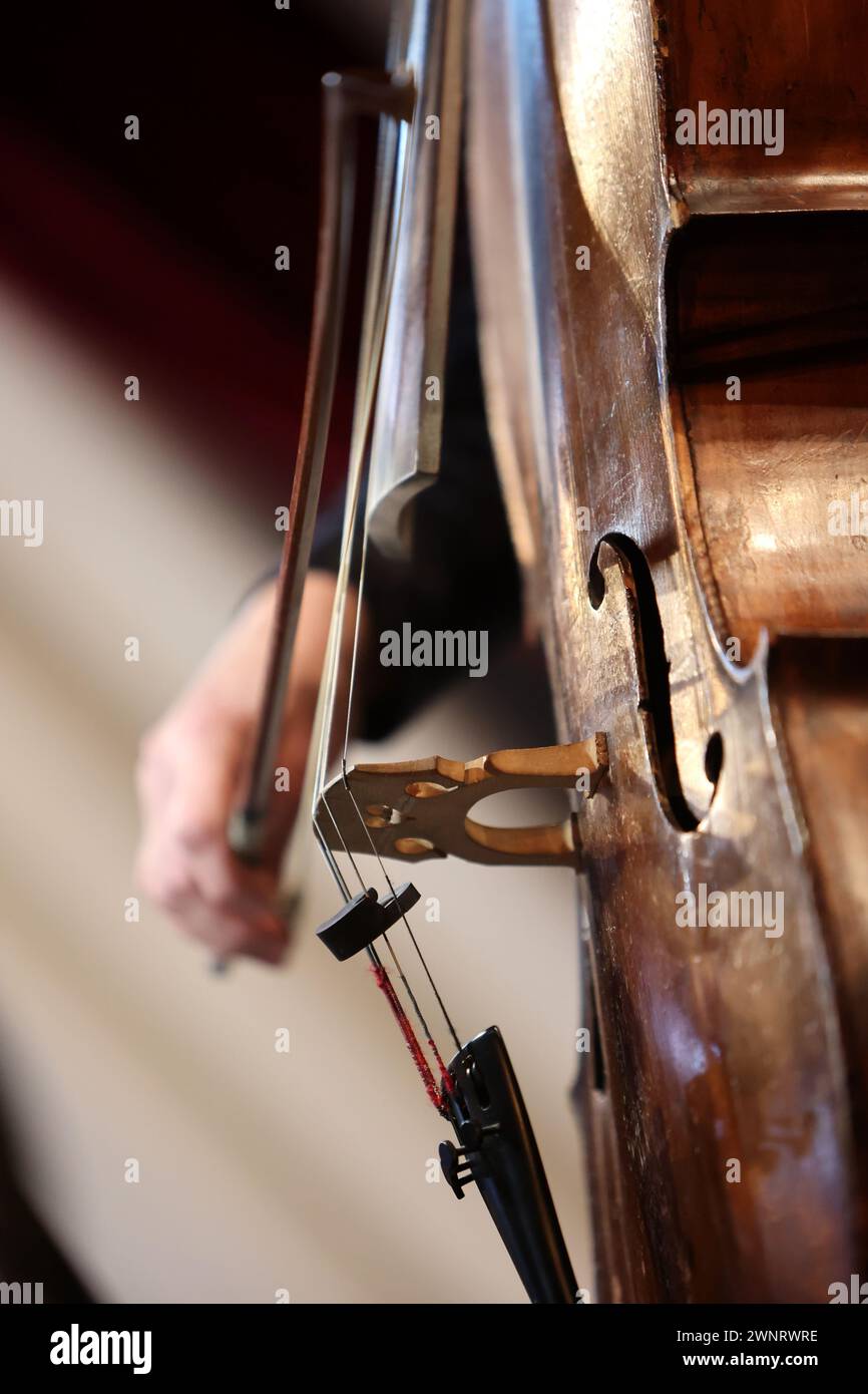 Nicht exklusiv: IWANO-FRANKIWSK, UKRAINE - 2. MÄRZ 2024 - Ein Cello mit Bogen wird während des Prykarpattia Spring 2024 Festivals in der Nähe abgebildet Stockfoto