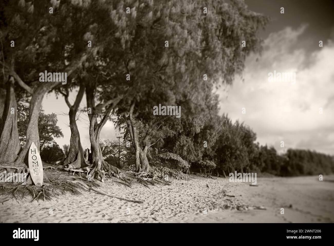 Sepia getöntes Foto von Pounders Beach, Oahu, Hawaii, USA Stockfoto