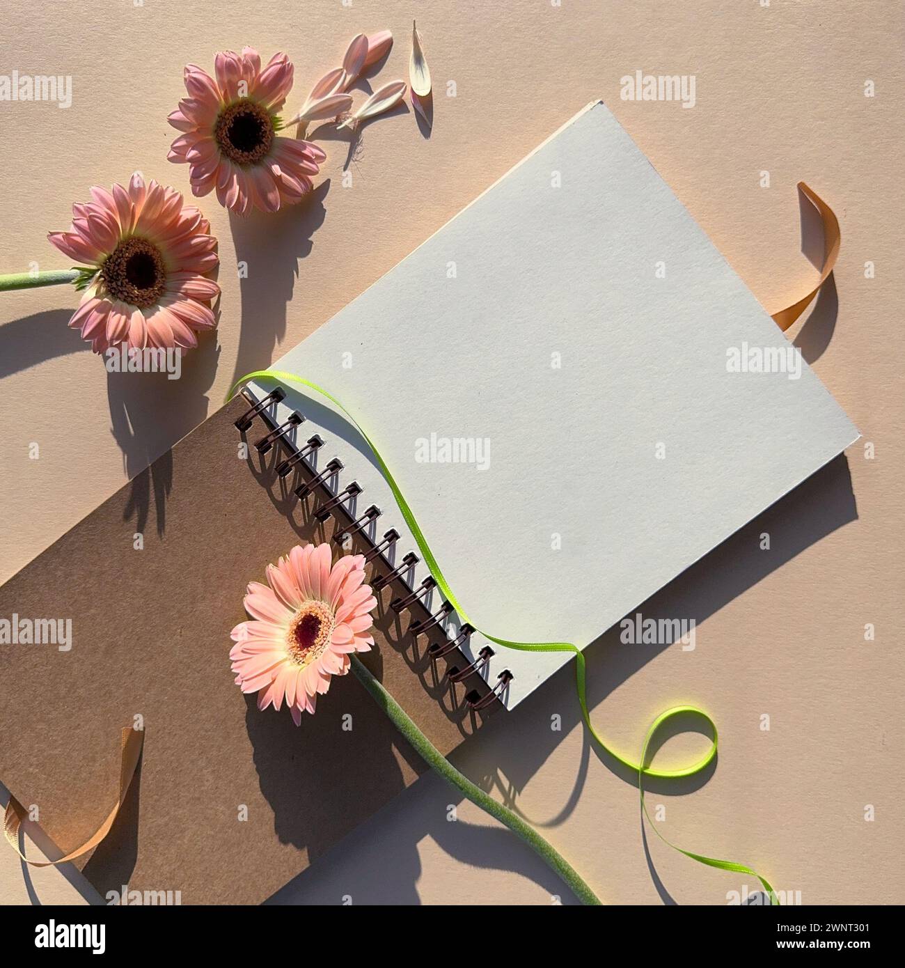 Frühjahrsmockup: Leerer Block mit rosa Gerbera-Blumen, Band, Stift auf cremefarbenem Papier Stockfoto