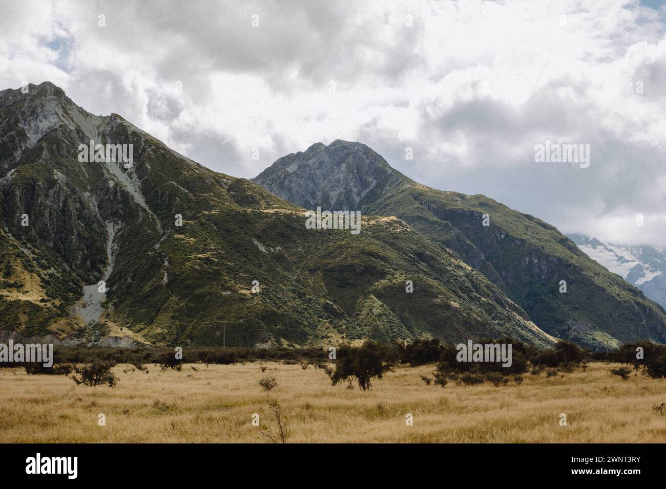 Neuseeland schöne Landwirtschaft Hintergrund trockenes Gras hohe Berge Stockfoto
