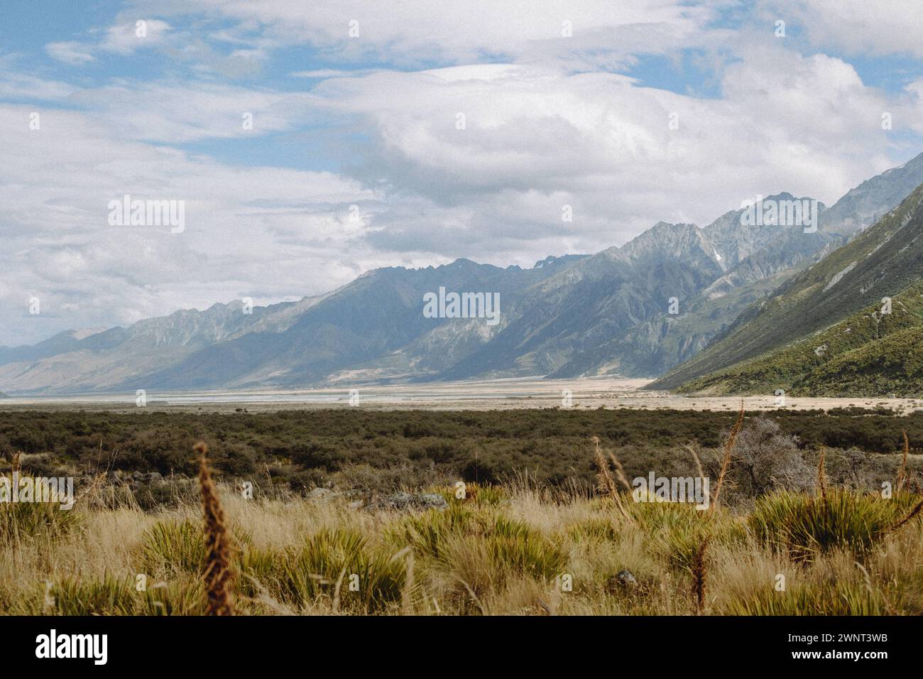 Naturlandschaft mit Grasland und frisch grünen Berghängen Stockfoto