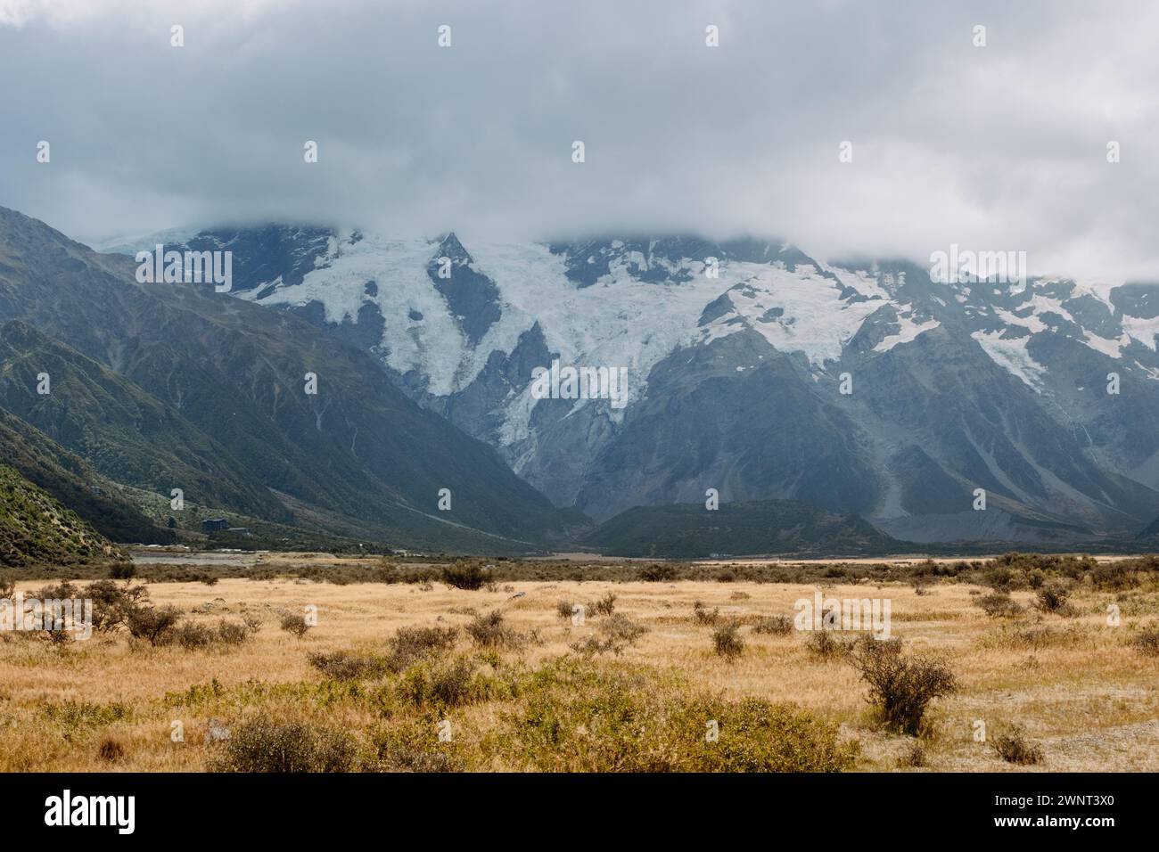 NZ Schnee und Gletscher bedeckt Berg mit trockenem Gras darunter Stockfoto