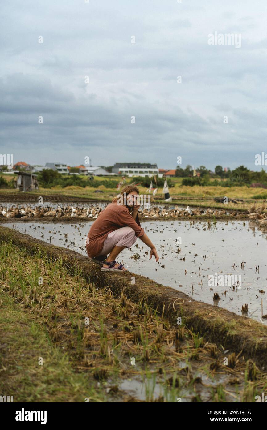 Langhaariger Mann auf einer Entenfarm. Enten in einem Reisfeld Bali Stockfoto