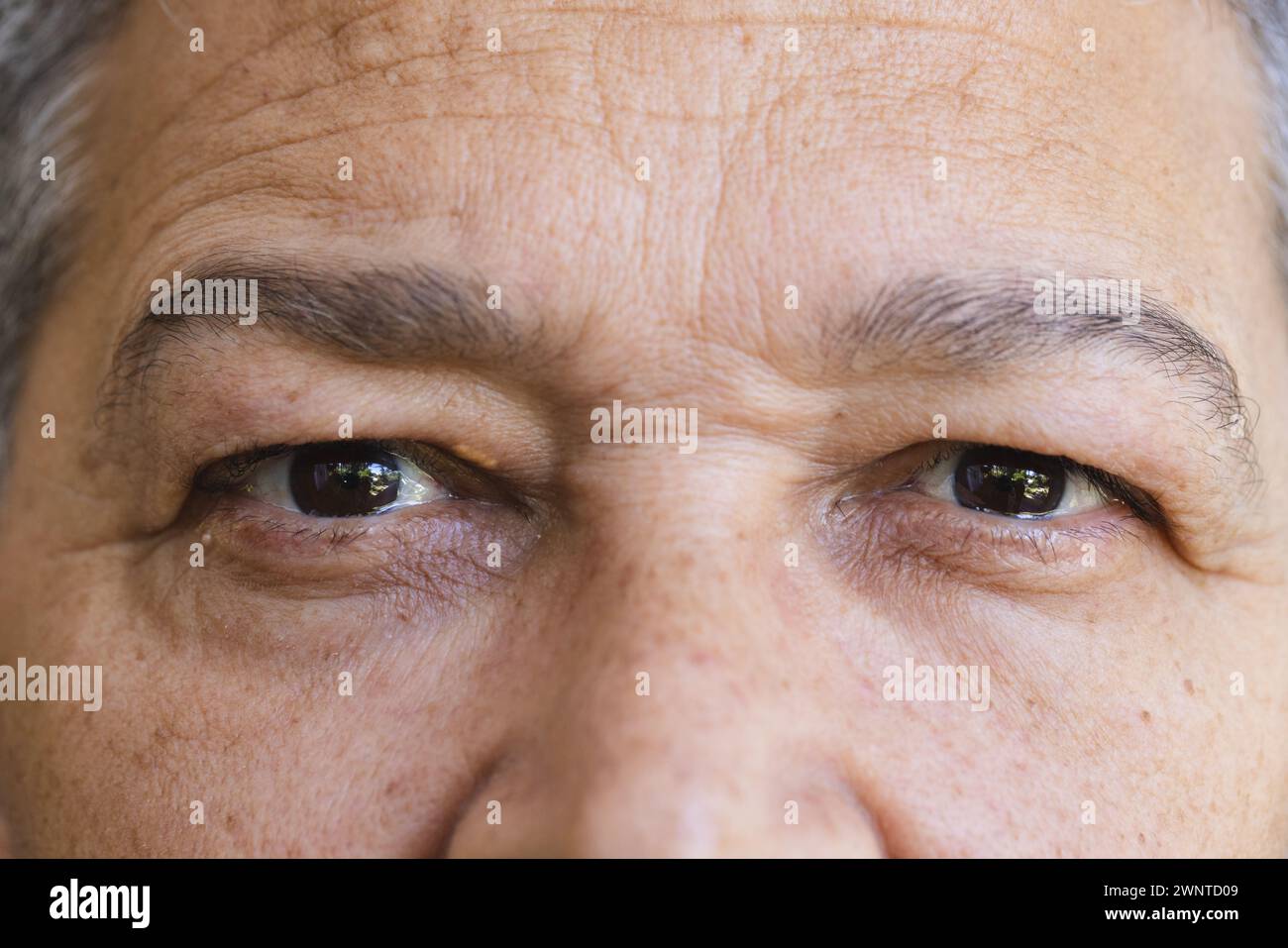 Nahaufnahme der Augen eines älteren birassischen Mannes, mit feinen Linien und einem ruhigen Ausdruck Stockfoto