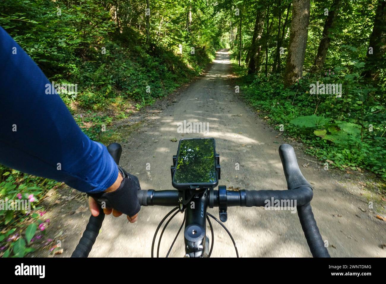 POV-Radfahrer mit Smartphone am Fahrradlenker auf einem Waldweg mit einem Schotterrad in der Nähe des Nationalparks Eifel Stockfoto