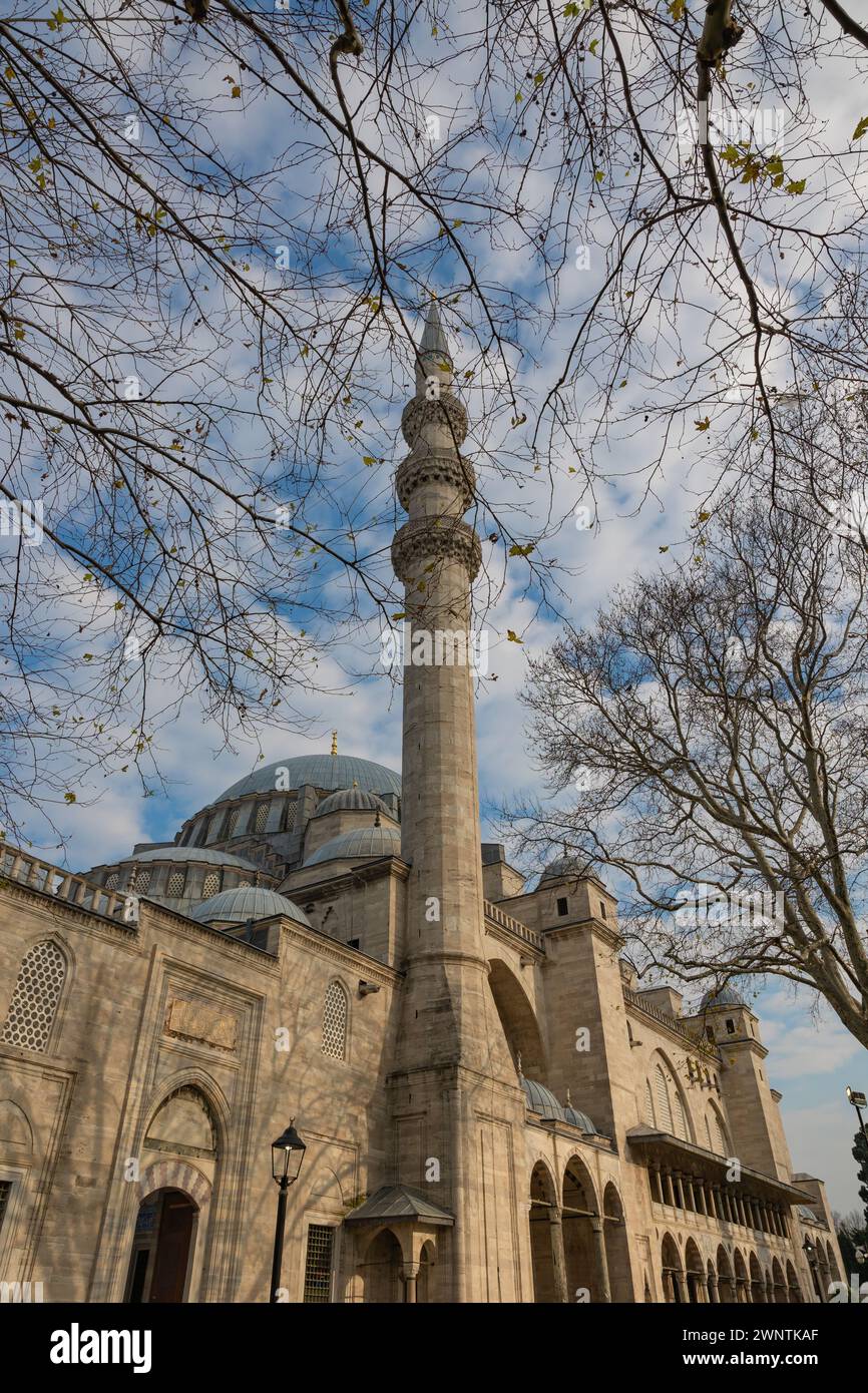 Blick auf die Suleymaniye-Moschee. Ramadan oder islamisches Konzept Foto. Berühmte Gebäude von Istanbul Konzeptfoto. Stockfoto