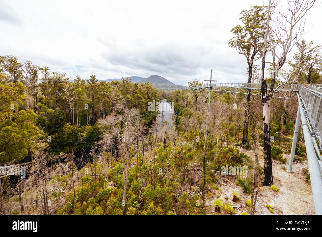 Tahune Airwalk Landschaft rund um den Huon River an einem bewölkten Sommertag im Huon Valley, Tasmanien, Australien Stockfoto