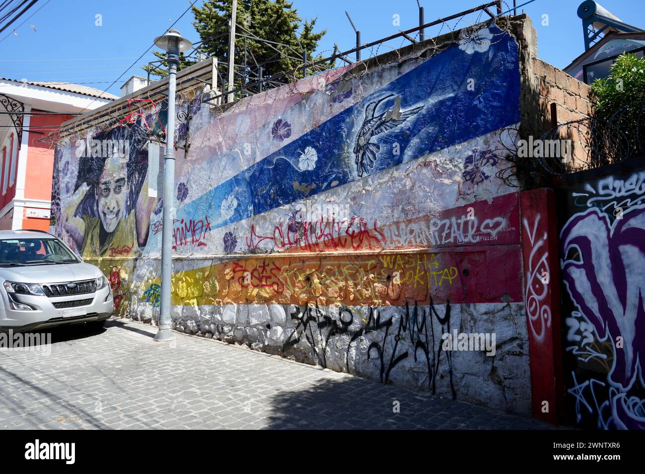 Straßenkunst an den Wänden in der Gegend von Paseo Jugoslavo in Valparaíso, Chile. Stockfoto