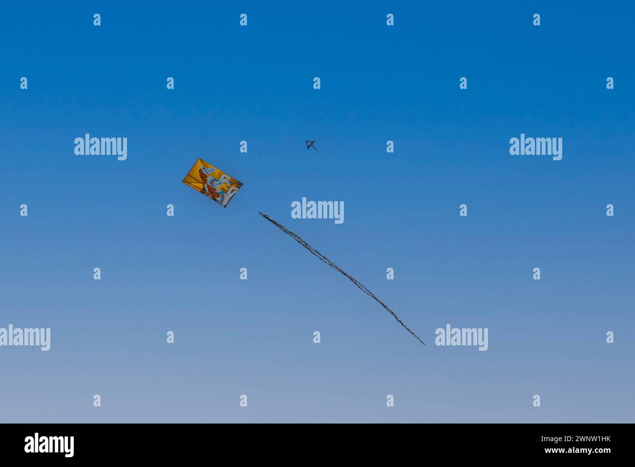 20. Januar Abudhabitische VAE. Wunderschöne und verschiedene Arten von Kites vom Kite Festival in Abudhabi Stockfoto