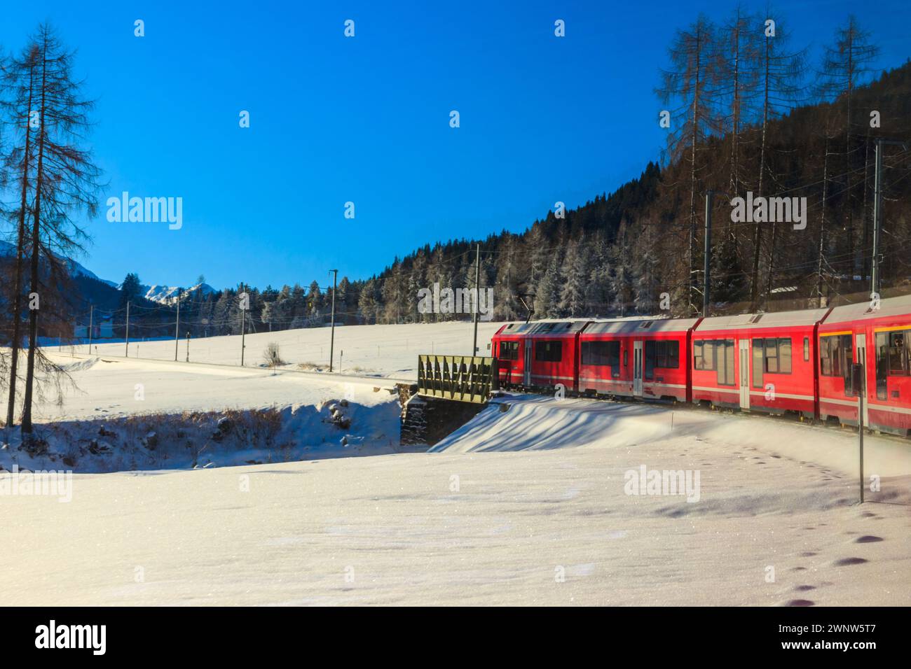 Roter Personenzug auf der Rhätischen Bahn im Kanton Graubunden, Schweiz im Winter Stockfoto