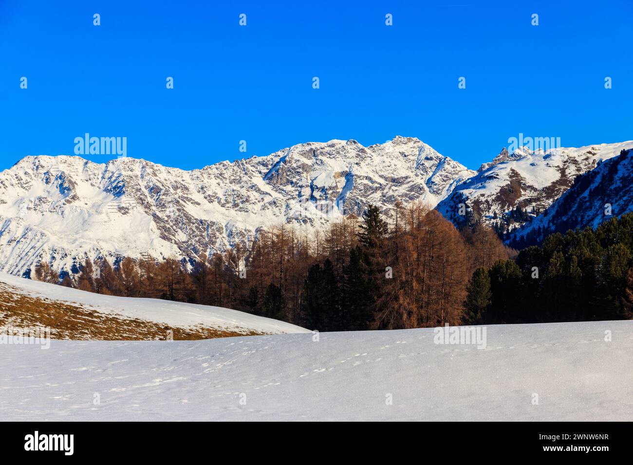 Fantastischer Blick über die schneebedeckten Schweizer Alpen in der Nähe von Davos, Schweiz Stockfoto