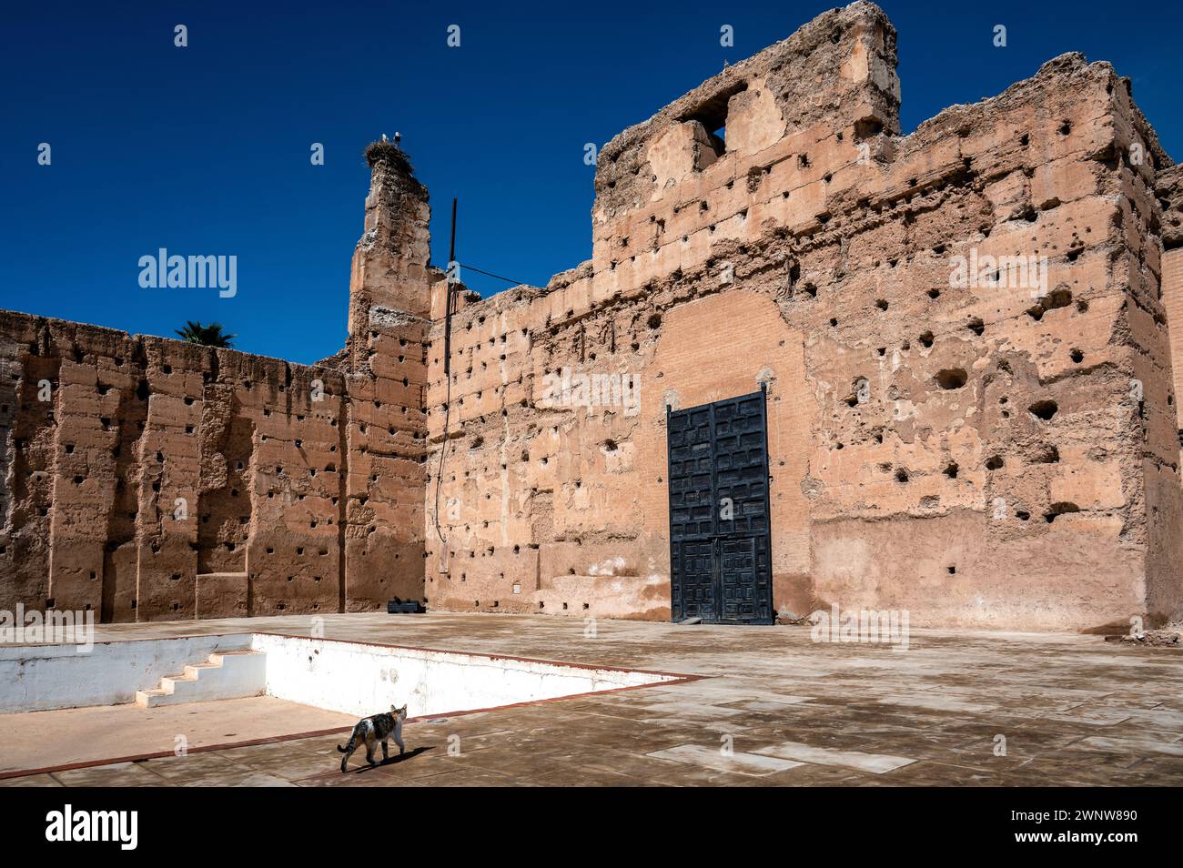 Katze spaziert vorbei an den Ruinen des Badi-Palastes in Marrakesch, Marokko Stockfoto