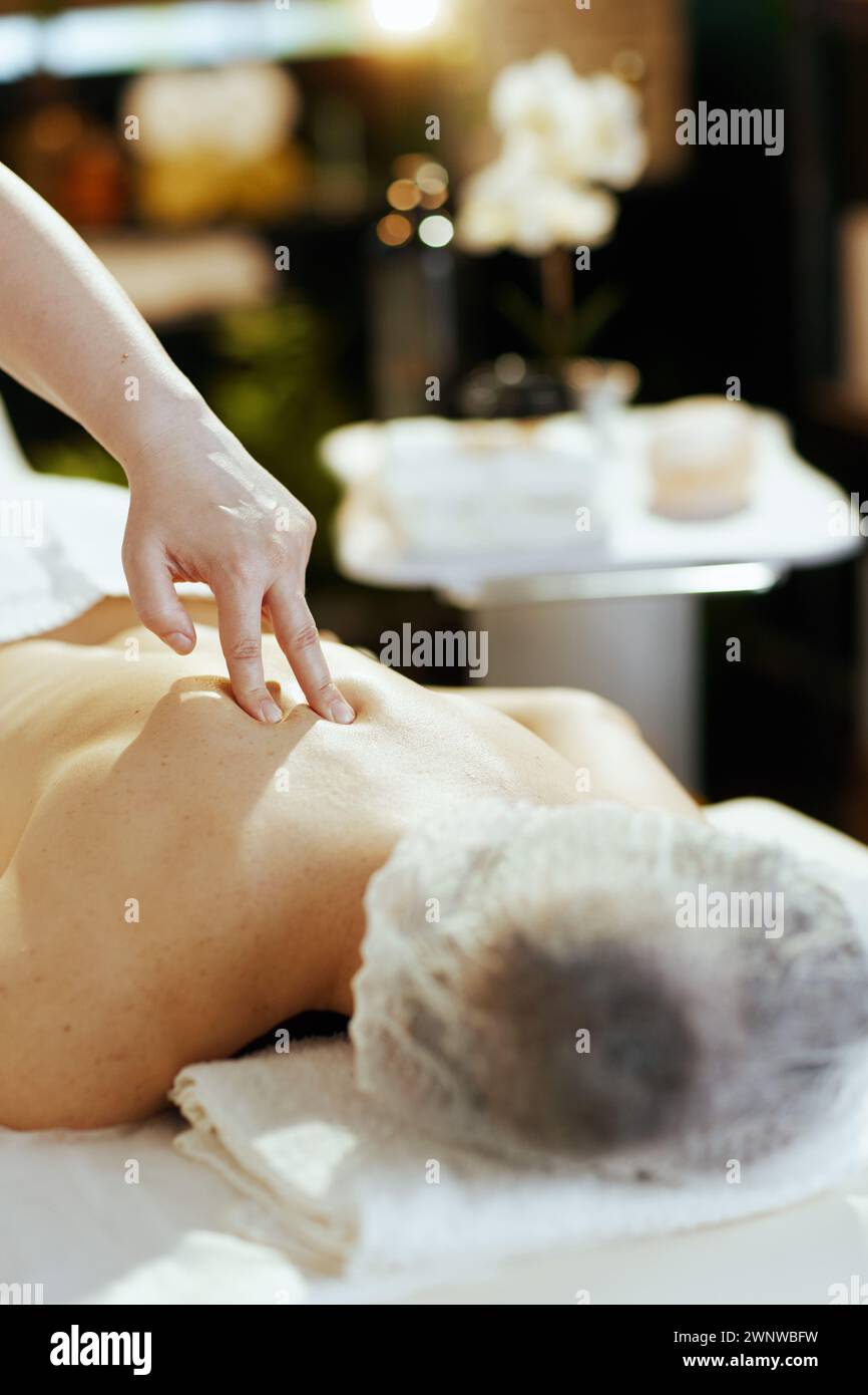 Gesundheitszeit. Nahaufnahme von Massagetherapeuten im Spa-Salon, die die Gäste zurück massieren. Stockfoto