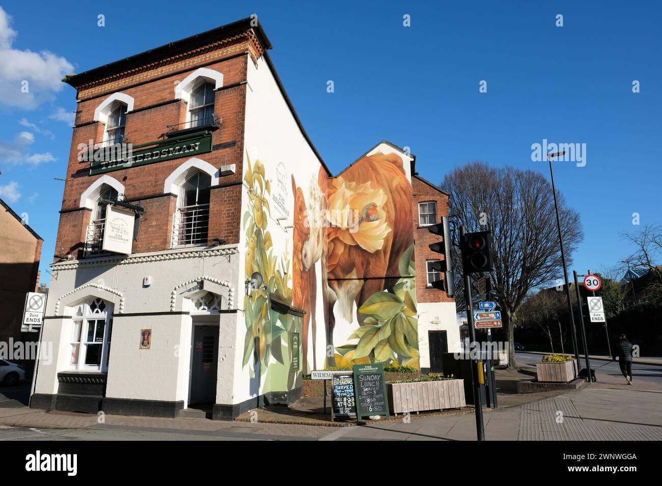 Hereford Herefordshire Großbritannien - März 2024 neue Wandgemälde von Curtis Hylton im The Herdsman Pub im Stadtzentrum von Hereford, gemalt im Februar 2024 Stockfoto