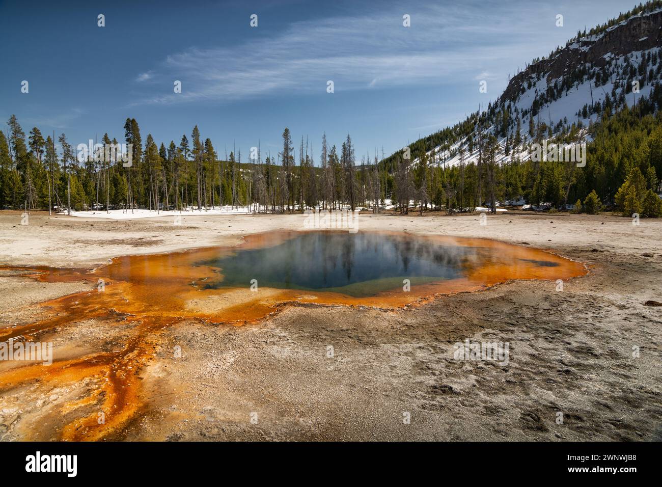 Lebendige heiße Quelle mit dampfendem Wasser, umgeben von farbenfrohen Mineralvorkommen im Yellowstone-Nationalpark Stockfoto