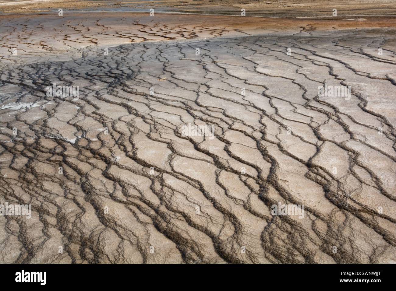 Ein genaues Detail der faszinierenden und komplexen Muster, die durch geothermische Aktivität im Grand Prismatic Spring Overlook in Yellowstone entstanden sind Stockfoto