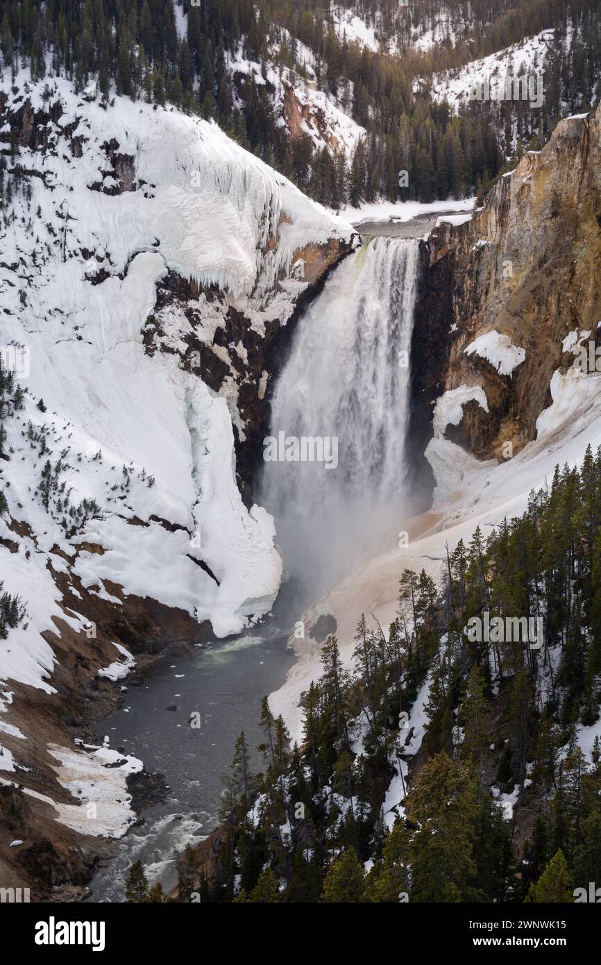 Ein bezauberndes Bild eines mächtigen Wasserfalls, der durch eine schneebedeckte Landschaft stürzt und durch die zerklüfteten Klippen, umgeben von Kiefern, schneidet Stockfoto