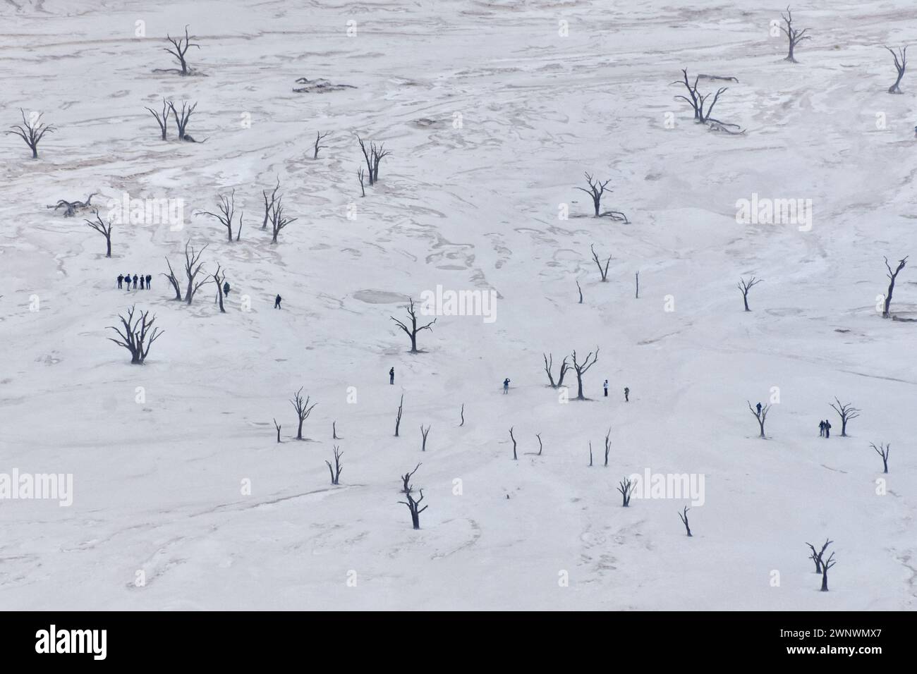 Arial Blick auf versteinerte Bäume in der Wüste Salzpfanne mit nicht identifizierbaren Menschen, Deadvlei, Namibia Stockfoto